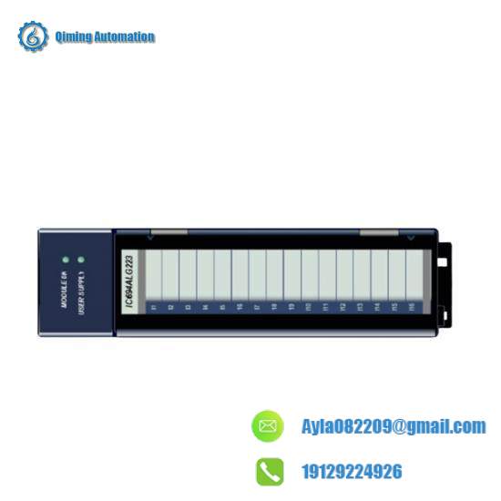 GE FANUC IC694ALG223