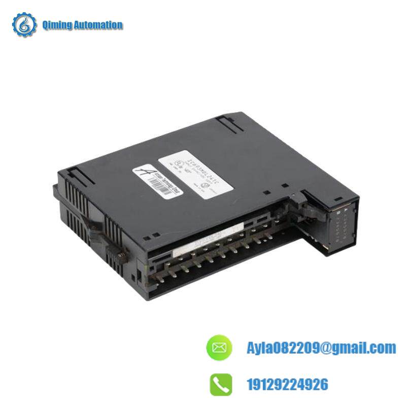 GE IC693MDL241 Positive/Negative Input module