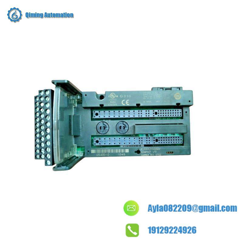GE IC200CHS022J Analog input MODULE