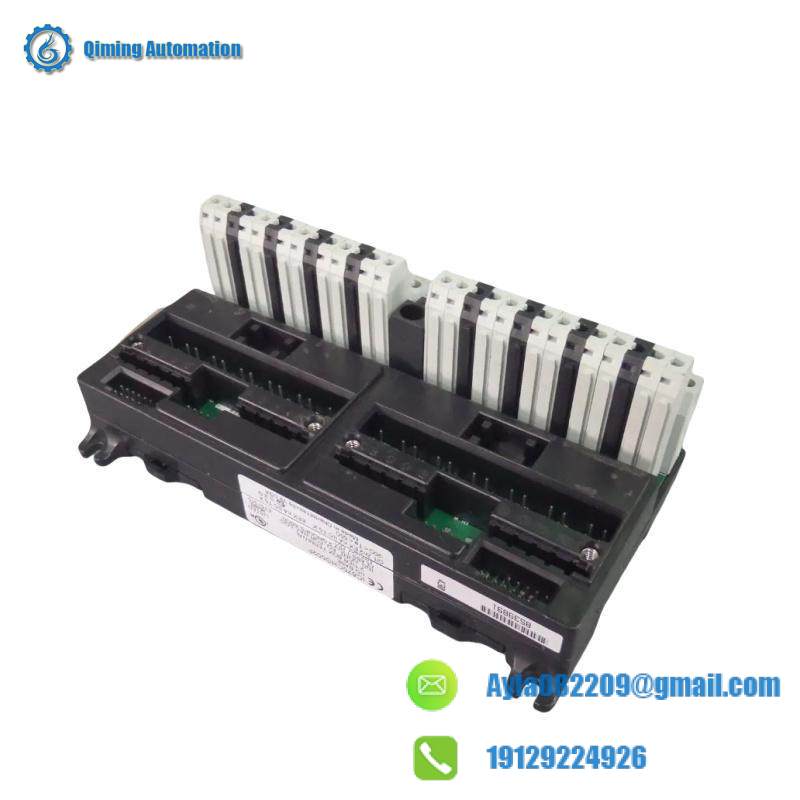 GE IC670CHS002 I/O terminal block