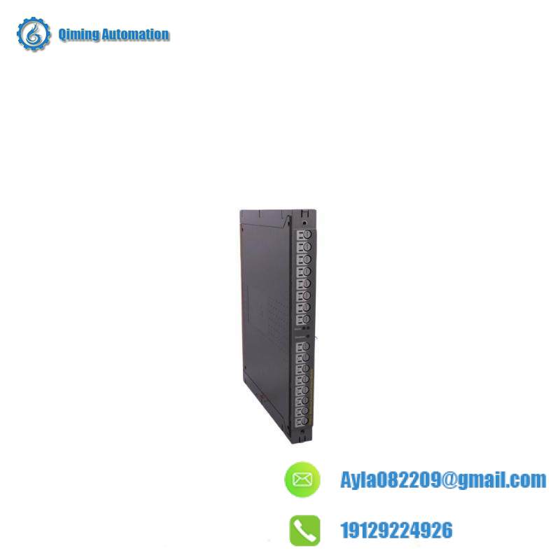 ICS TRIPLEX T811B Module