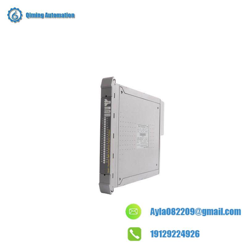 ICS TRIPLEX T8310 EXPANDER INTERFACE