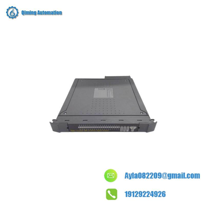 ICS TRIPLEX TC-303-01-2M0