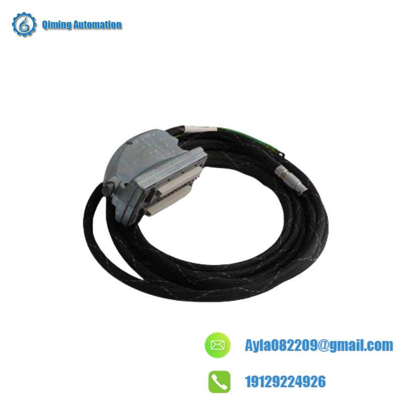 ICS TRIPLEX TC-308-02-2M5 Module