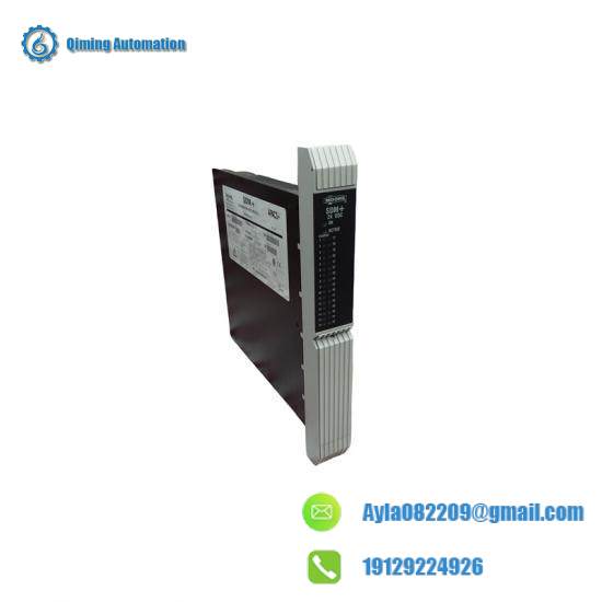 Moore 39SDM024DCCBN 16101-174R/12 SDM+Standard Discrete Module