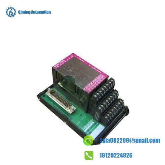 P0916AE  I/A Series Module  Foxboro