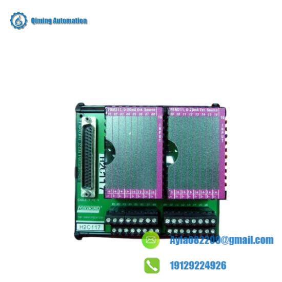 P0916JT  I/A Series Module  Foxboro