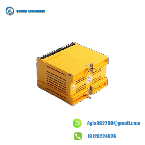 Reliance 812.06.00 1control card