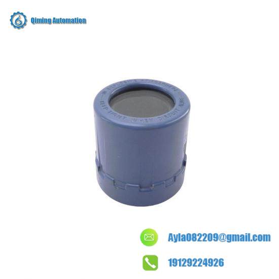 Rosemount 01151-0389-0001 REV. A Explosion Proof Cover