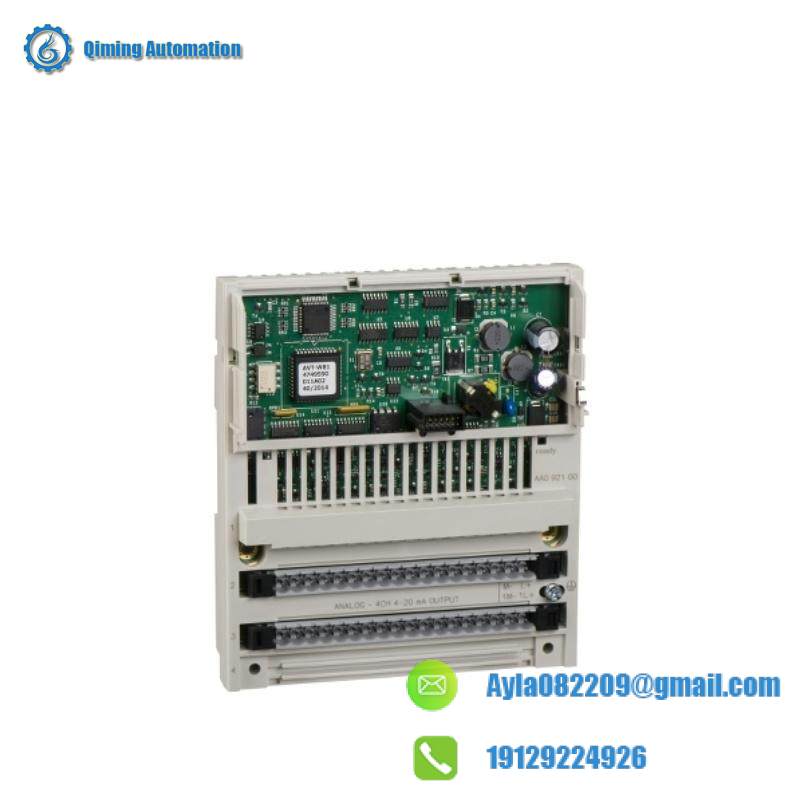 Schneider 170AAO92100 Analog Output