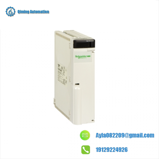 SCHNEIDER AS-BDAP-218
