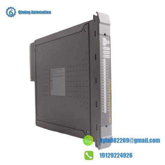 T8403 INPUT MODULE