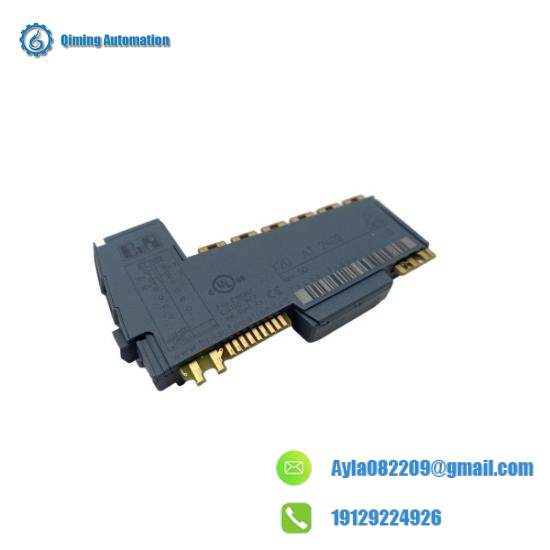 TRICONEX 2402