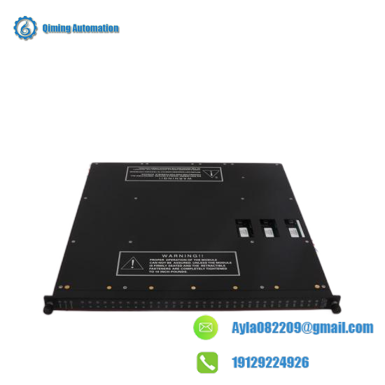 TRICONEX 3623T