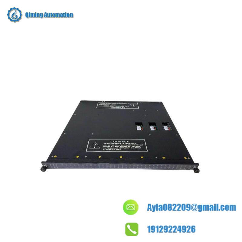 TRICONEX 3636R