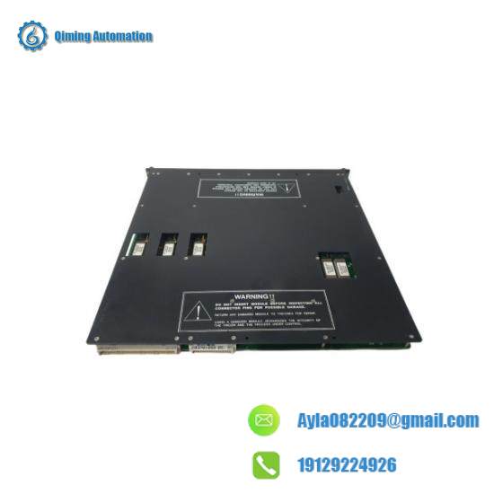 Triconex 4119 Enhanced Intelligent Module