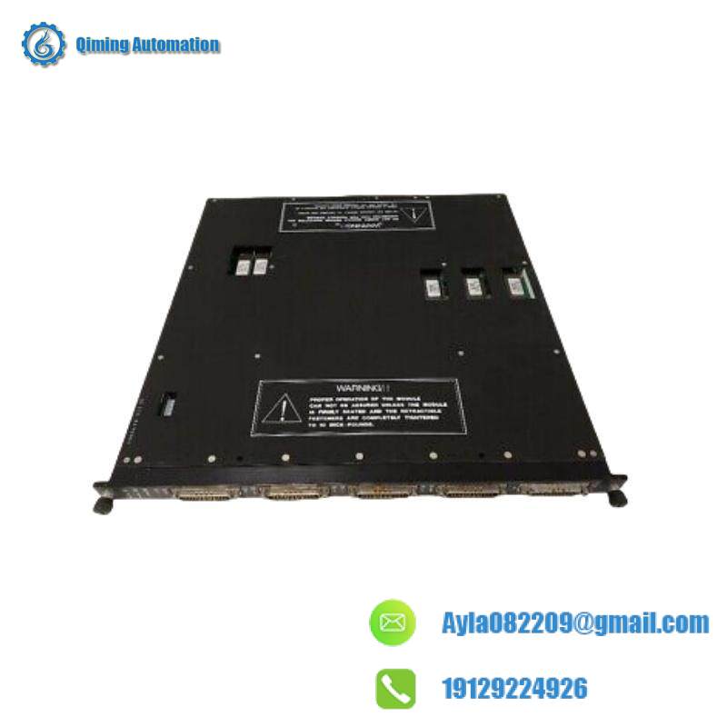 TRICONEX 9782-110