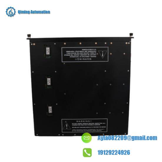TRICONEX PM6301A