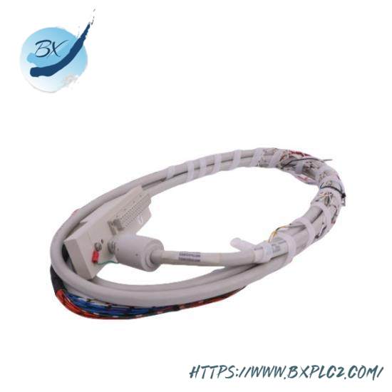 16137-116  Moore I/O Cable