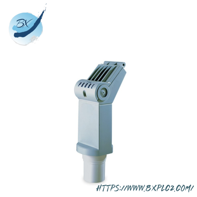 SIEMENS 7ML12011EF00 THE PROBE