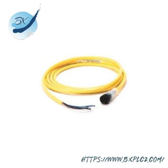 889N-U3AF-12F Mini Straight Cord