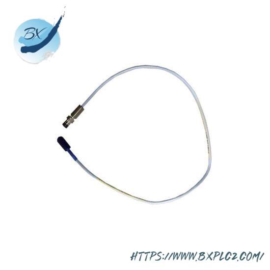 Bently Nevada BN33OOXL-330106-05-30--C10-D02-E00 Reverse Mount Probes