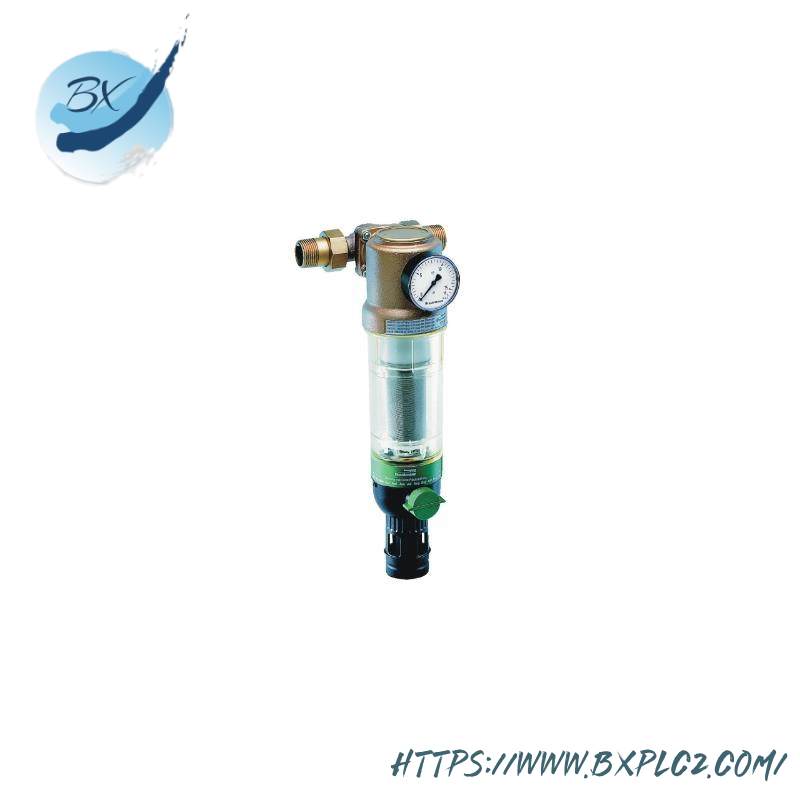 BRAUKMANN F76CS-1AA reverse rinsing filters