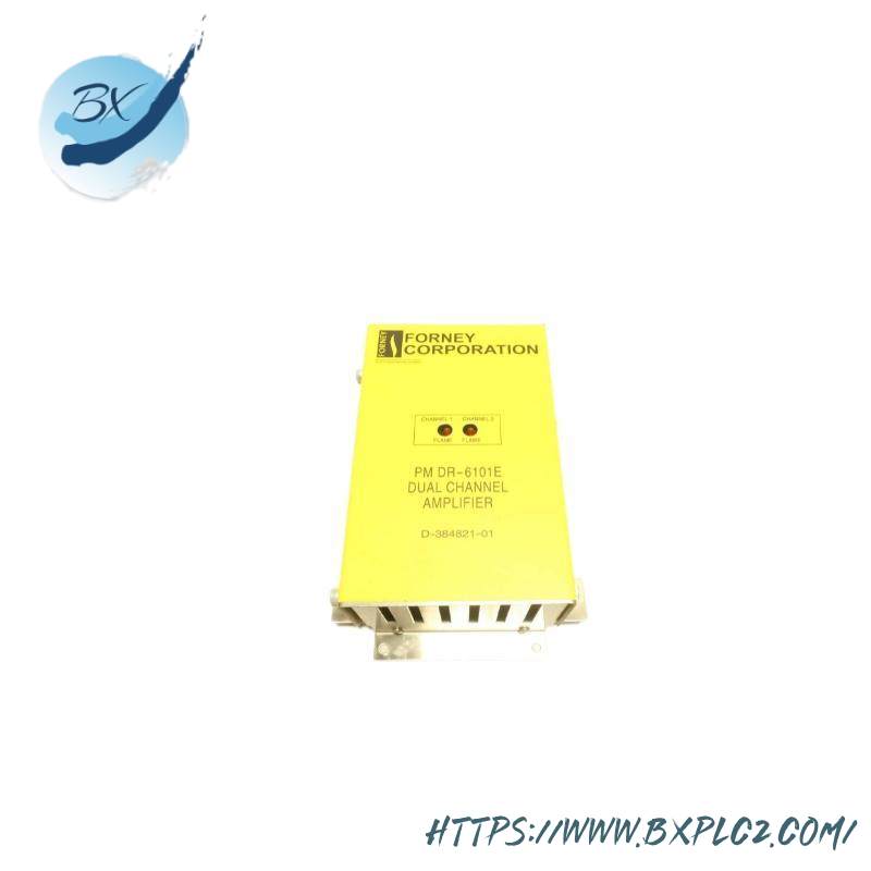 FORNEY RM DR6101E Dual Range Flame Amplifier