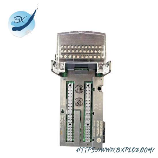 GE FANUC IC200CHS022E