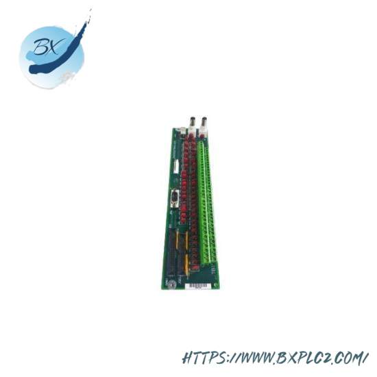 General Electric DS200TBQAG1A1 RST Terminal Board