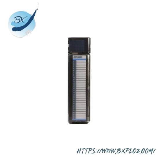 General Electric FANUC IC694MDL632 PLC Input Module