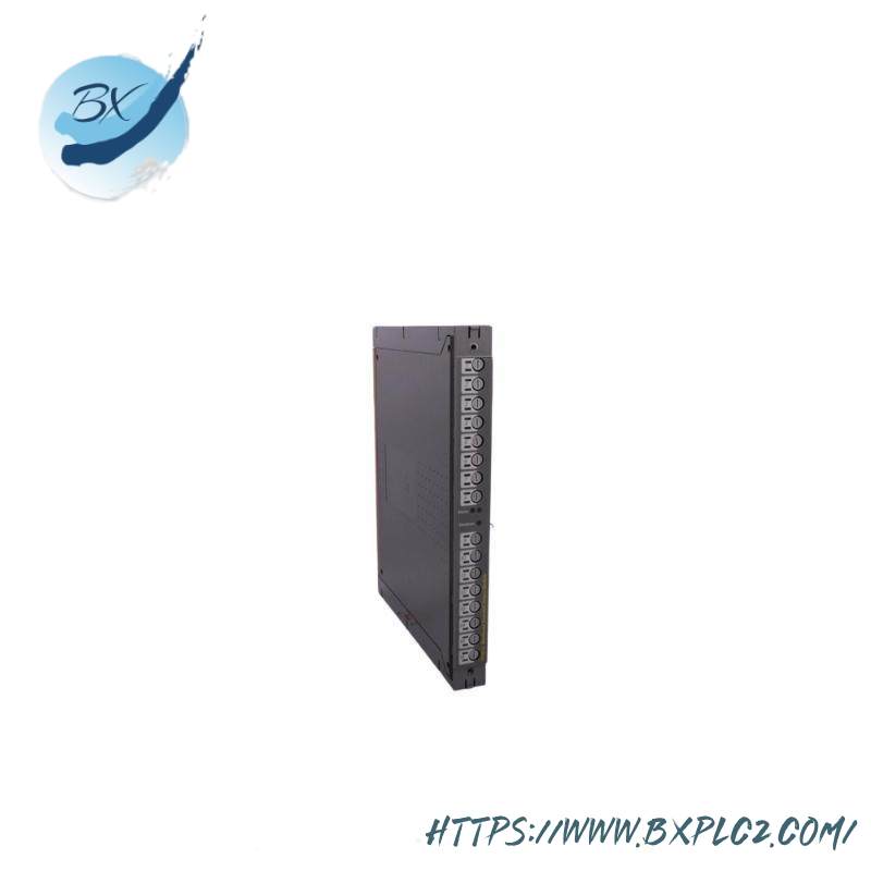 ICS TRIPLEX T811B Module