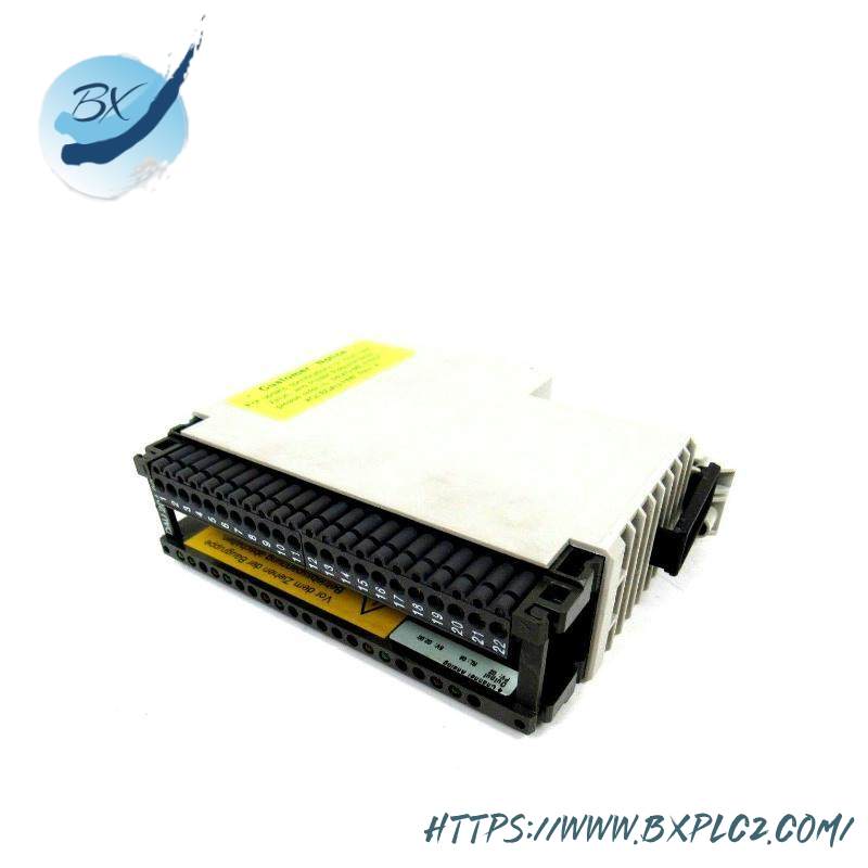 Schneider AS-BDAU-204 ANALOG OUTPUT MODULE