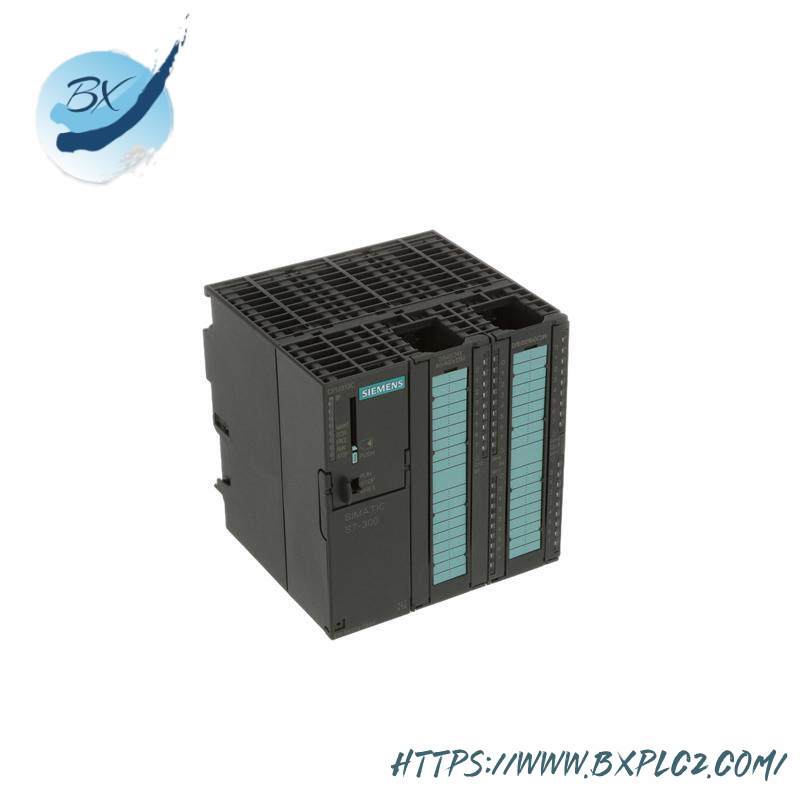 SIEMENS 6ES7313-5BG04-0AB0 DIGITAL OUTPUTS