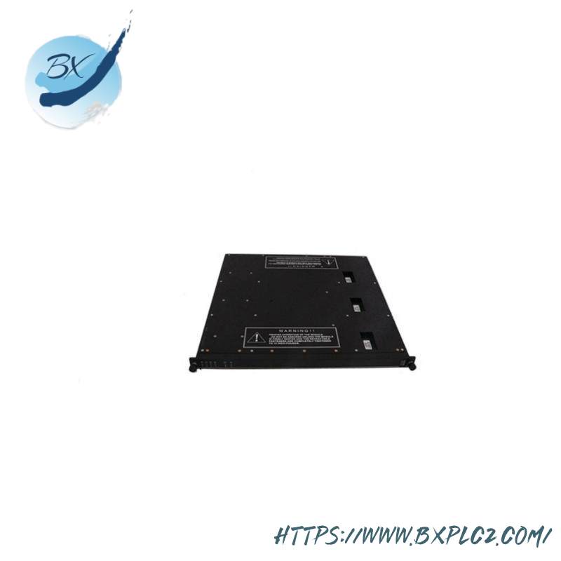 TRICONEX 4000094-320 Module
