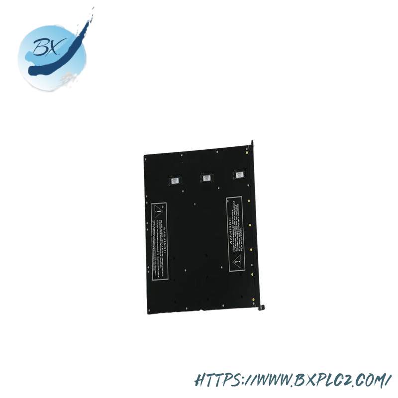 Triconex 7400210-010 MODULE