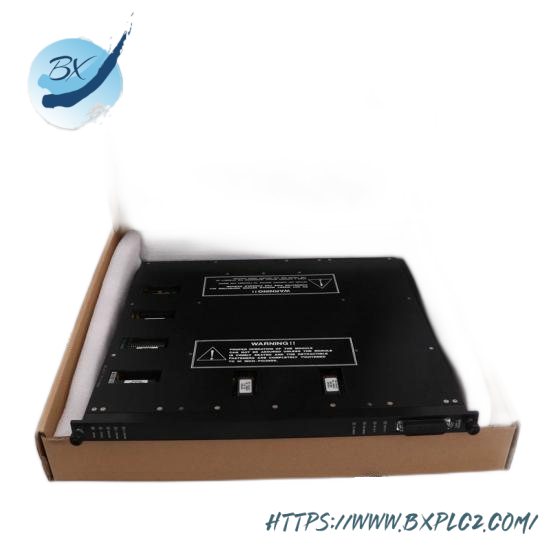 Triconex Terminal Board for 2551 7400058-110