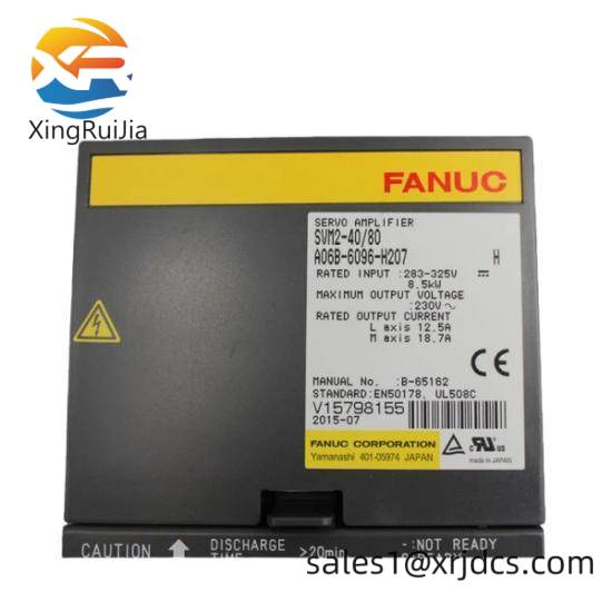 Fanuc A06B-6096-H207  GE Servo Module