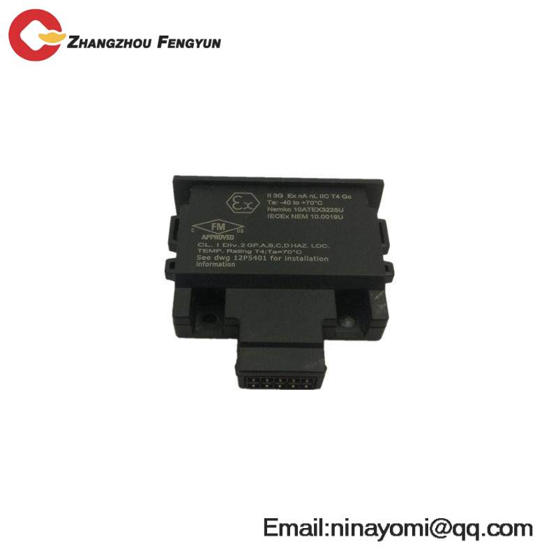 Emerson 12P4983X302 Charm Address Plug