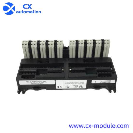 GE FANUC IC670CHS002