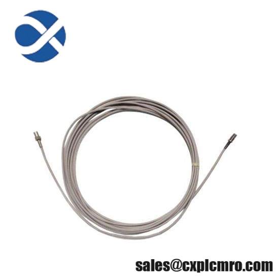 Bently Nevada 330704-000-050-10-01-05  Extension Cable