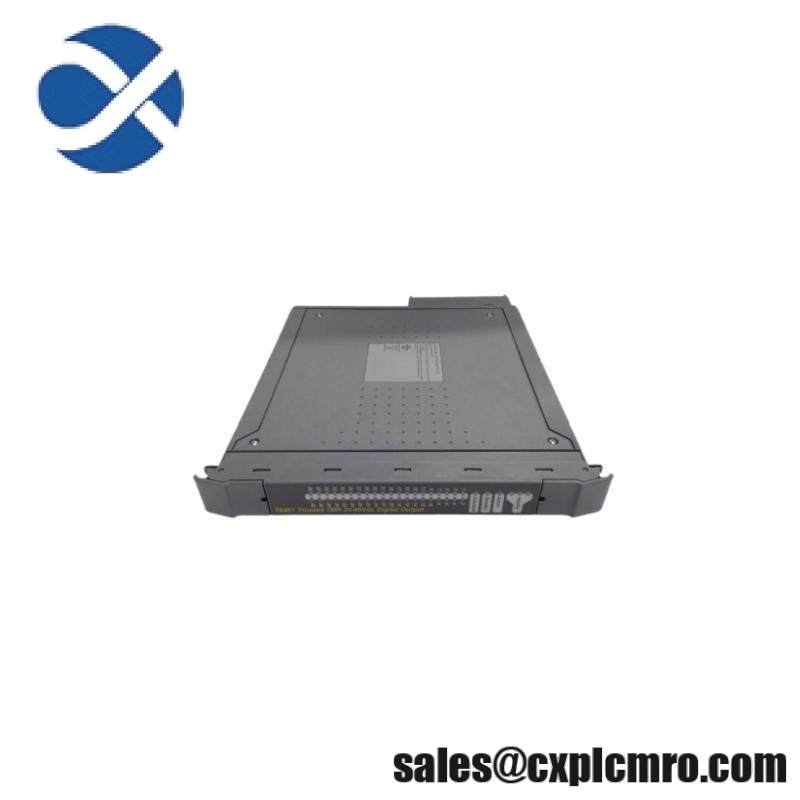 ICS TRIPLEX TC-303-01-2M0