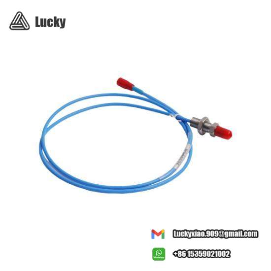 Bently Nevada WT0181-A45-B00 Extension Cable