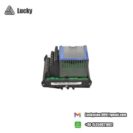 Foxboro Invensys FBM206 P0916JQ Terminal Assembly