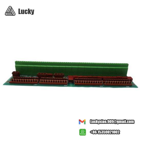 GE FANUC DS200DTBCG1AAA Connector Relay Terminal Board