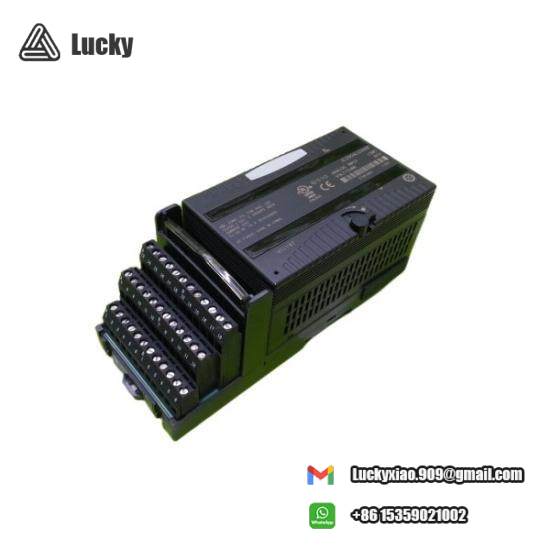 GE Fanuc IC200ALG266F input module