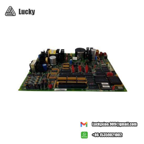 GENERAL ELLECTRIC DS200TCEAG1BFF Module