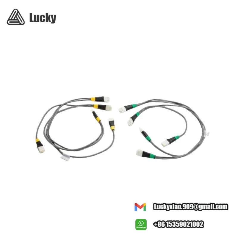 HOEYWELL 51202329-302 I/O Link Cable