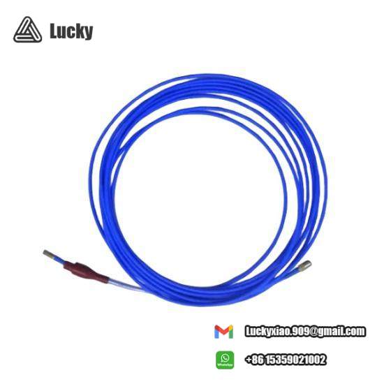 TM032-A00-B00-C00-D00-E00-F00-G00  Bently Nevada Extension Cable