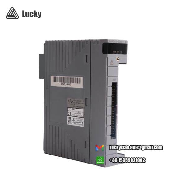 Yokogawa AAI543 Analog Output Module